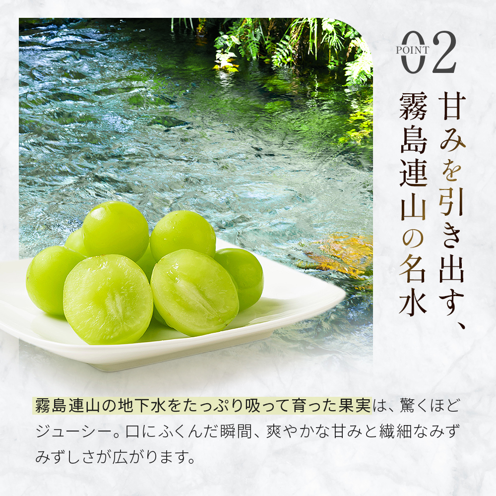 【2026年発送】シャインマスカット 2kg（3～4房）（ぶどう シャインマスカット 葡萄 マスカット 種なし 皮ごと 大粒 厳選)