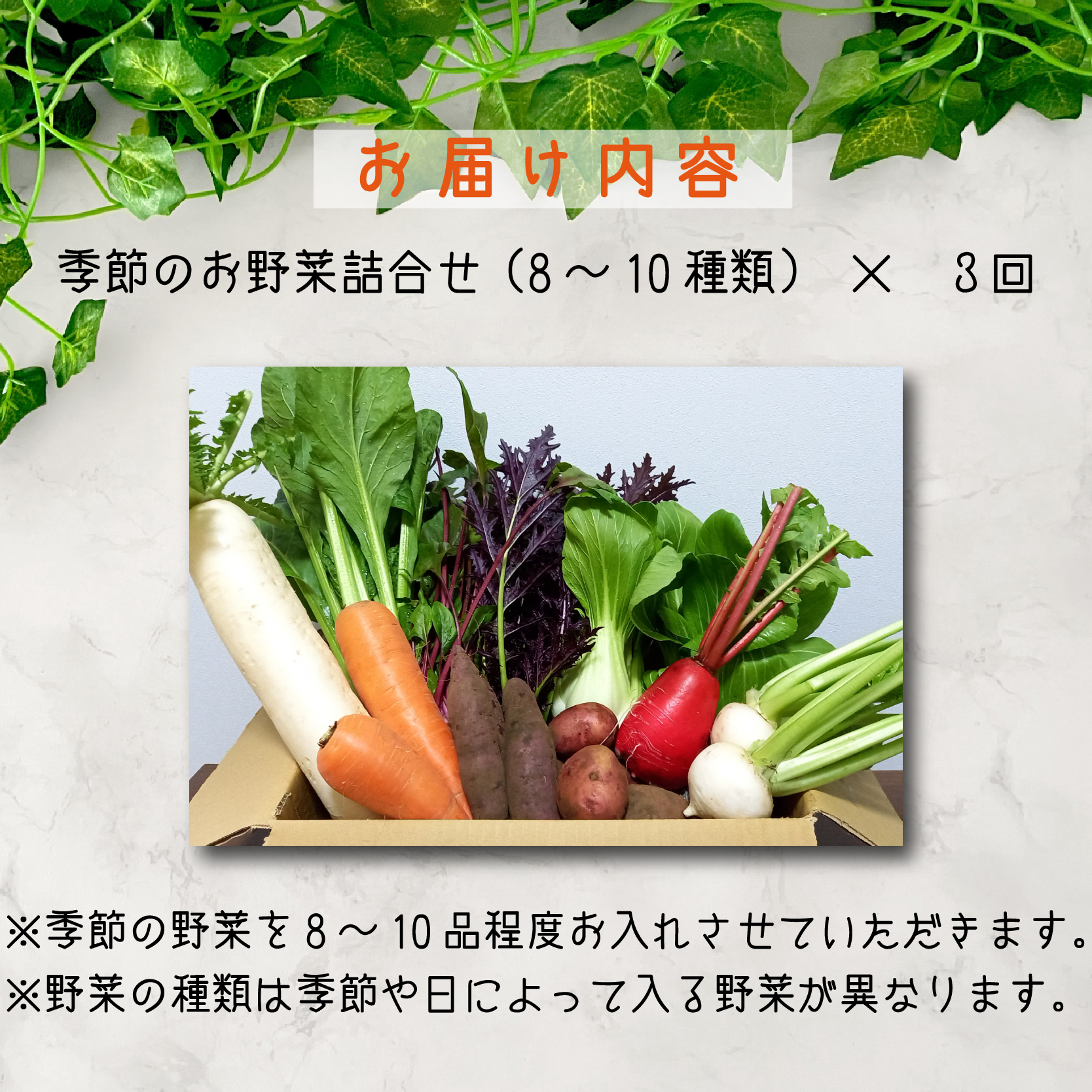 【定期便 全3回】季節の野菜詰め合わせセット（全3回×8~10種類） 野菜 定期便 やさい 定期便 野菜セット やさいセット 春野菜 夏野菜 秋野菜 冬野菜 旬