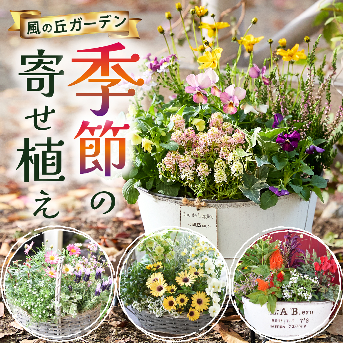 【10月頃から発送・お手軽ガーデニング】季節の寄せ植え（風の丘ガーデン） ギフト寄せ植え 花 贈答用寄せ植え 母の日 誕生日 記念
