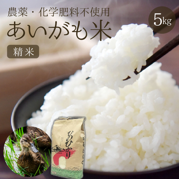 【安心安全！合鴨農法】あいがも米（精米済みヒノヒカリ）　5kg（新米 米 お米 精米 ヒノヒカリ 合鴨農法 無農薬）