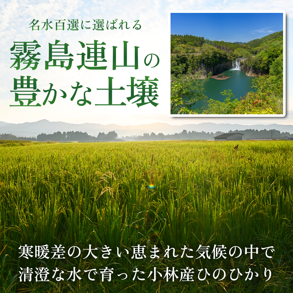 【令和7年産米】ヒノヒカリ 10kg×6回 お米 米 令和7年産 ヒノヒカリ 国産 定期便 人気 お弁当 おにぎり 宮崎県 小林市