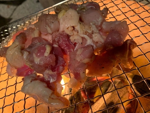 【新鮮朝びき鶏】みやざき地頭鶏焼肉セット（カット野菜付き）（国産 鶏 鶏肉 地鶏 小分け モモ肉 もも肉 ムネ肉 むね肉 焼肉 炭火焼 宮崎 小林市）