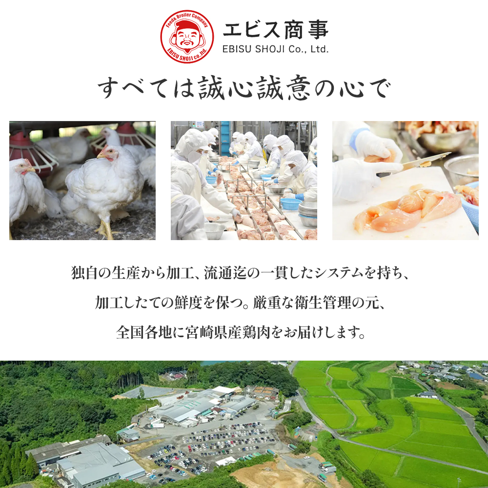 【業務用】 宮崎県産 若鶏もも・むねセット 計4kg（ 鶏肉大容量 国産鶏 鶏肉 鶏 お肉 若鶏 鶏もも 鶏むね肉 宮崎県産 鶏 ）