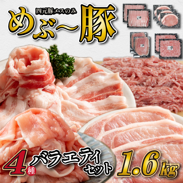 【地元ブランド豚】"めぶ～豚" 4種バラエティパック 計1.6kg（豚肉 豚 豚バラ とんかつ用 切り落とし こま切れ ミンチ 小分け）