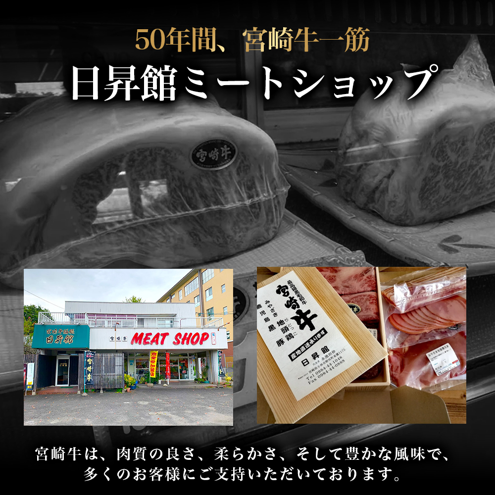 【祝！内閣総理大臣賞！】A5等級 小林市産宮崎牛ヒレステーキ （160g×4枚） 宮崎牛 牛肉 肉 ステーキ ヒレ ヒレステーキ 数量限定 A5ヒレ