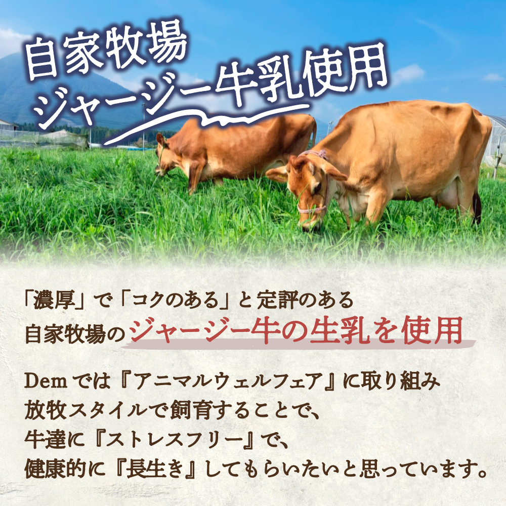 【自家牧場ジャージー牛乳使用】Demの生クリームたっぷり生カヌレと香ばしカヌレセット （ カヌレ ジャージー牛乳 新鮮 生カヌレ 焼き菓子 クリーム 自家牧場 手作り 大人気  宮崎県小林市 ）