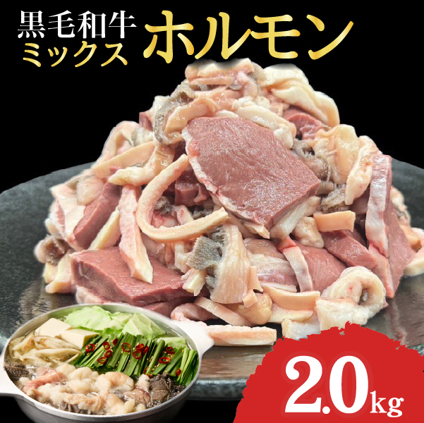 宮崎県産ミックスホルモン 500g×4P 計2kg（牛肉 肉 ホルモン 黒毛和牛 もつ鍋 焼肉 鍋）