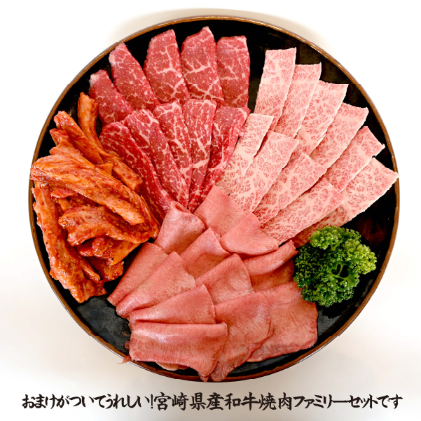 【BBQで大活躍！】宮崎県産和牛焼肉ファミリーセット 計800g（黒毛和牛 牛肉 お肉 タン モモ カルビ 焼肉 焼肉用）