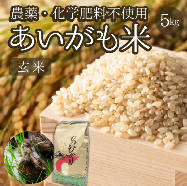 【安心安全！合鴨農法】あいがも米（玄米ヒノヒカリ）　5kg（新米 米 お米 玄米 ヒノヒカリ 合鴨農法 無農薬）