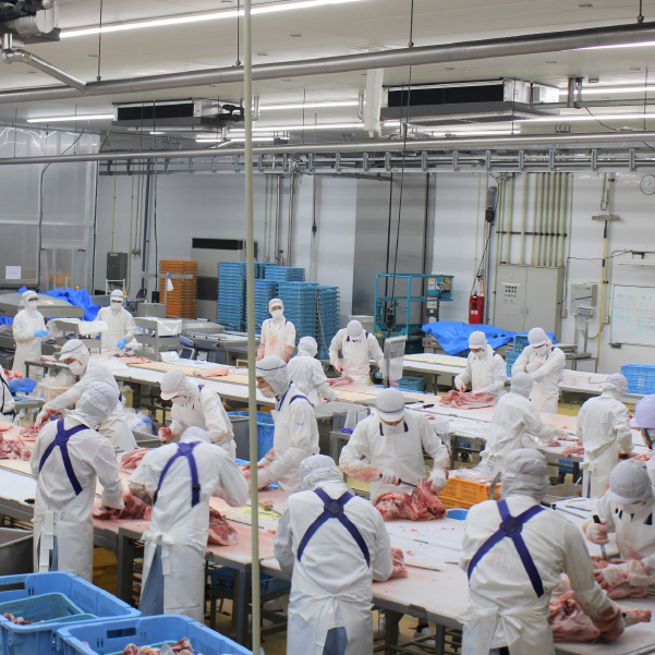 九州産豚肉切り落とし 4.8kg（300g×16P 国産 豚肉 切り落とし 人気 大容量 真空パック 簡易包装 冷凍）