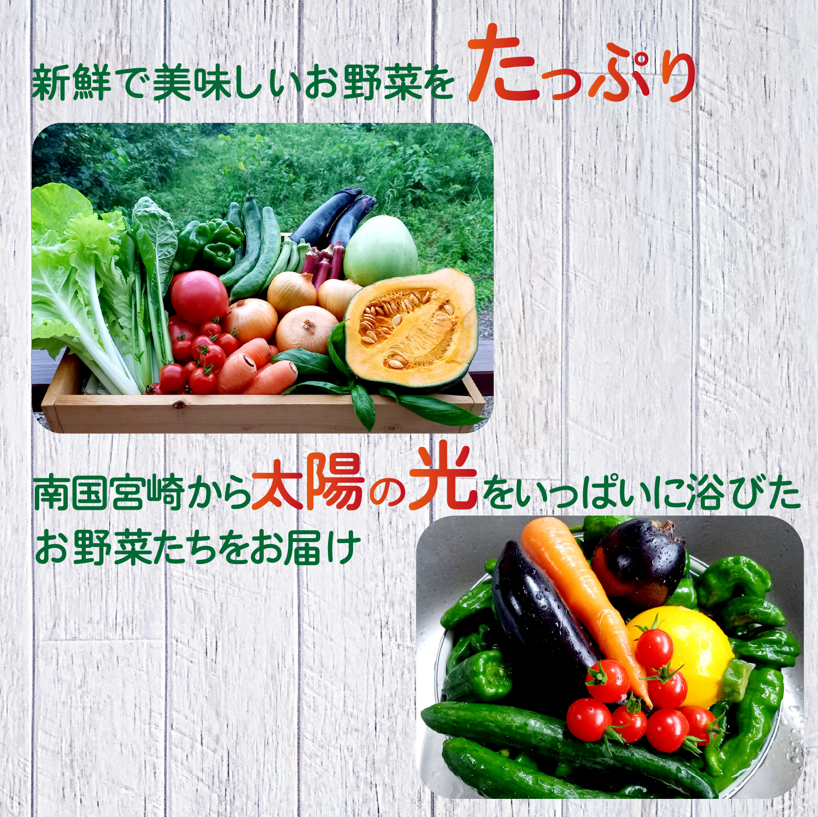 【定期便 全3回】季節の野菜詰め合わせセット（全3回×8~10種類） 野菜 定期便 やさい 定期便 野菜セット やさいセット 春野菜 夏野菜 秋野菜 冬野菜 旬