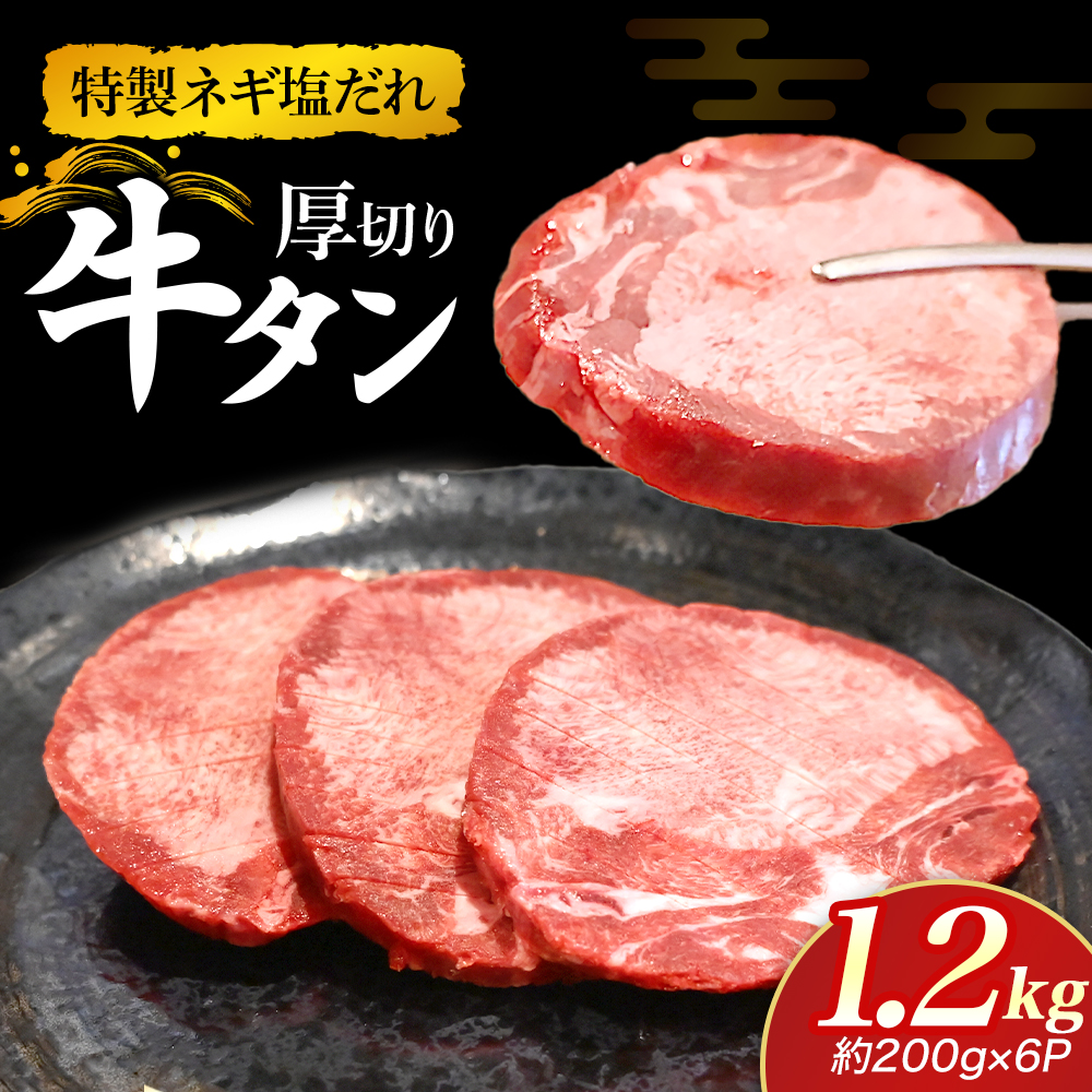 特製ネギ塩だれ 厚切り牛タン 1.2kg （肉 牛肉 牛タン 厚切り 塩だれ ネギ ヘルシー 人気 宮崎県小林市）