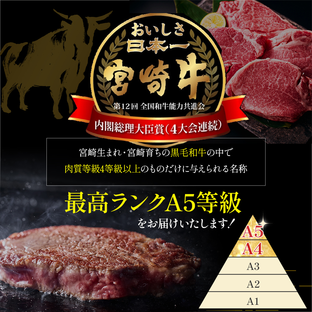 【祝！内閣総理大臣賞！】A5等級 小林市産宮崎牛ヒレステーキ （160g×4枚） 宮崎牛 牛肉 肉 ステーキ ヒレ ヒレステーキ 数量限定 A5ヒレ