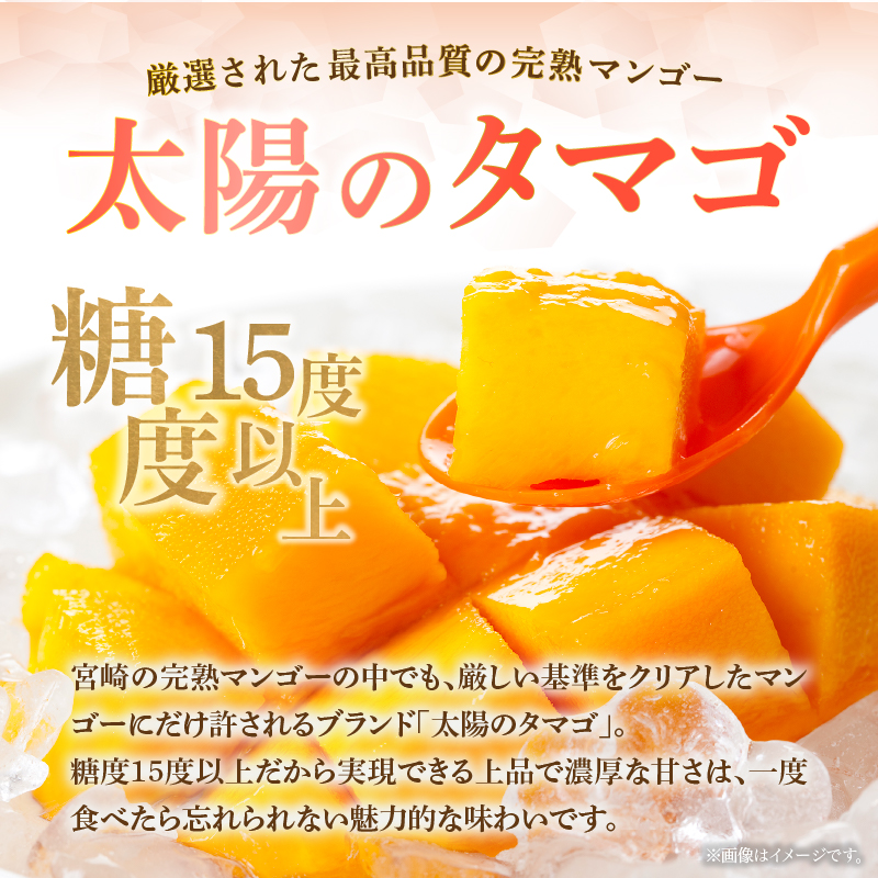【数量限定・先行受付】厳選大玉宮崎完熟マンゴー「太陽のタマゴ」 2玉　計1kg程度（フルーツ 2025 マンゴー 先行予約 太陽のタマゴ 宮崎 小林市 果物 人気）