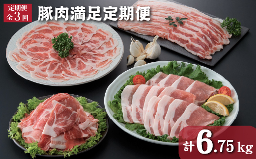 【定期便・全3回】豚肉満足定期便 2.25kg×3回（ 国産 豚 豚肉 定期 大容量 小分け 冷凍 定期便 冷凍 ）