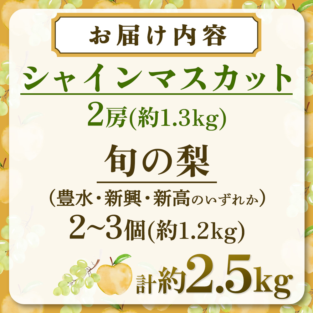【期間限定】旬の梨とシャインマスカット 食べ比べセット 約2.5kg(ぶどう フルーツ 果物 詰合せ フルーツセット 果物セット 豊水 新高 新興) ANA名称