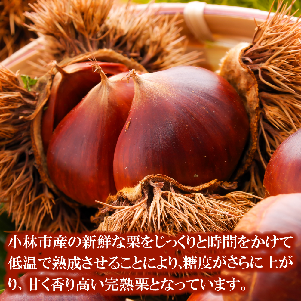 須木白むき栗（冷凍） 約1.0kg(須木栗 栗 白むき栗 むき栗 栗ごはん 栗おこわ 栗きんとん モンブラン 栗スイーツ 栗菓子)