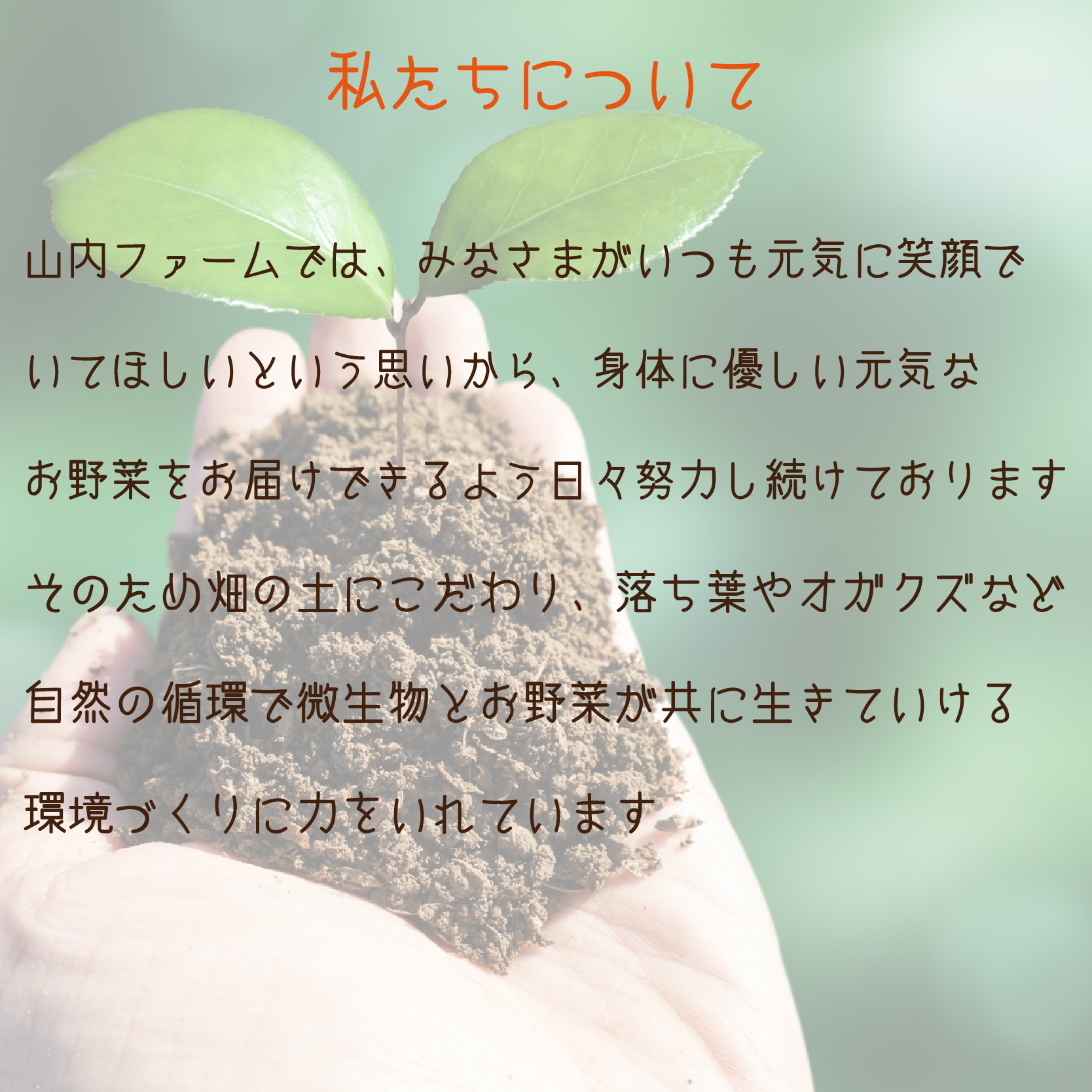 【定期便 全6回】季節の野菜詰め合わせセット（全6回×8~10種類） 野菜 定期便 やさい 定期便 野菜セット やさいセット 春野菜 夏野菜 秋野菜 冬野菜 旬