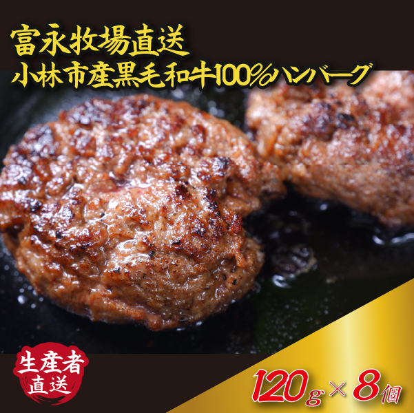 【自社農場和牛】富永和牛手作りハンバーグ（ハンバーグ 牛肉 牛肉100% 国産 冷凍 調理済 宮崎 惣菜 小林市）