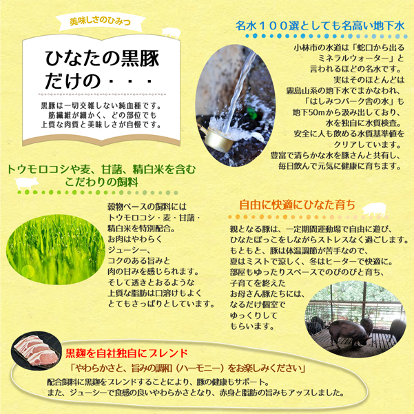 【料理王国100選に選出!!】ひなたの黒豚 本ロース詰め合わせ 880g（豚肉 黒豚 豚 しゃぶしゃぶ用 しゃぶしゃぶ とんかつ用 ロース 小分け）