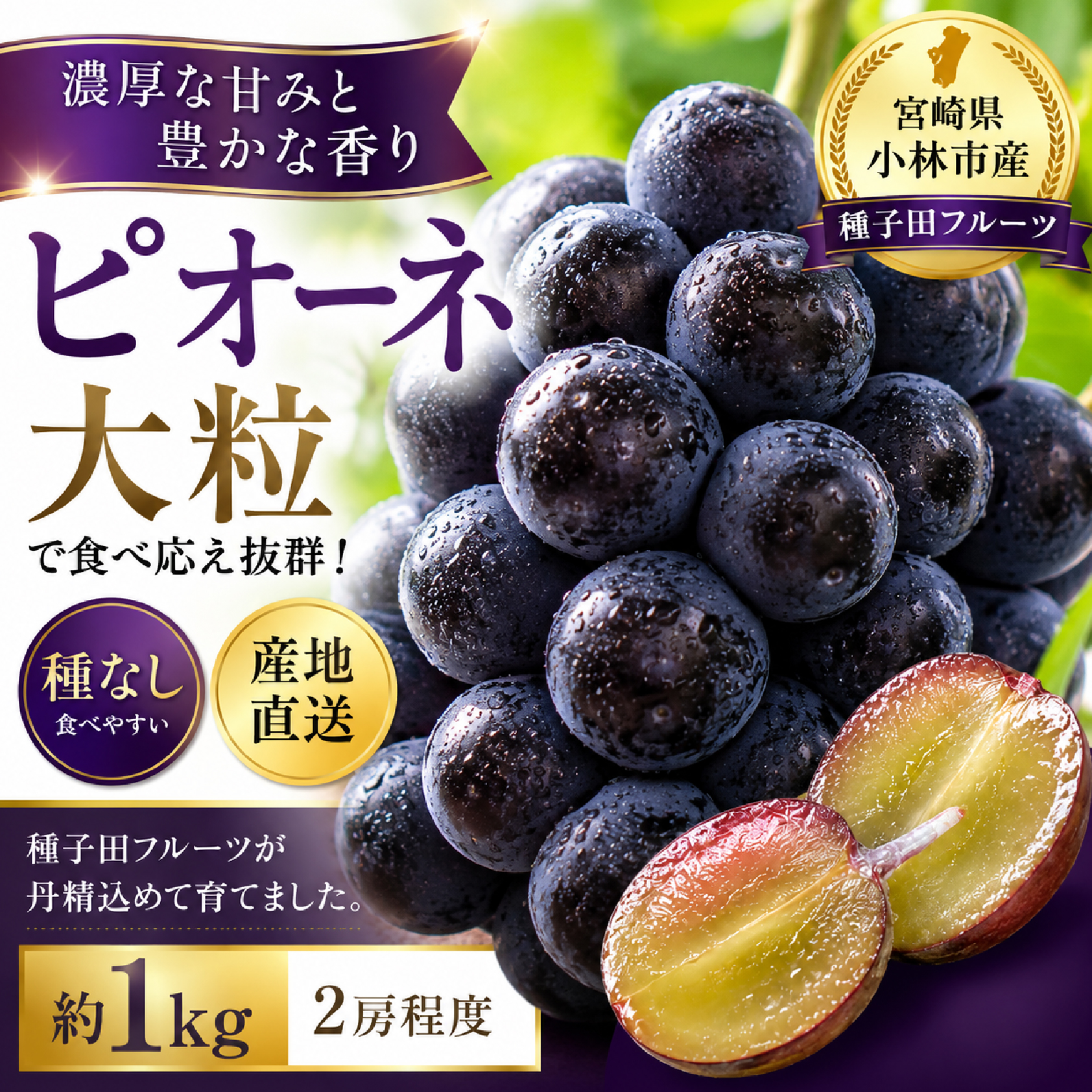 大粒・種なし ピオーネ（ニューピオーネ）1kg ぶどう 葡萄 フルーツ