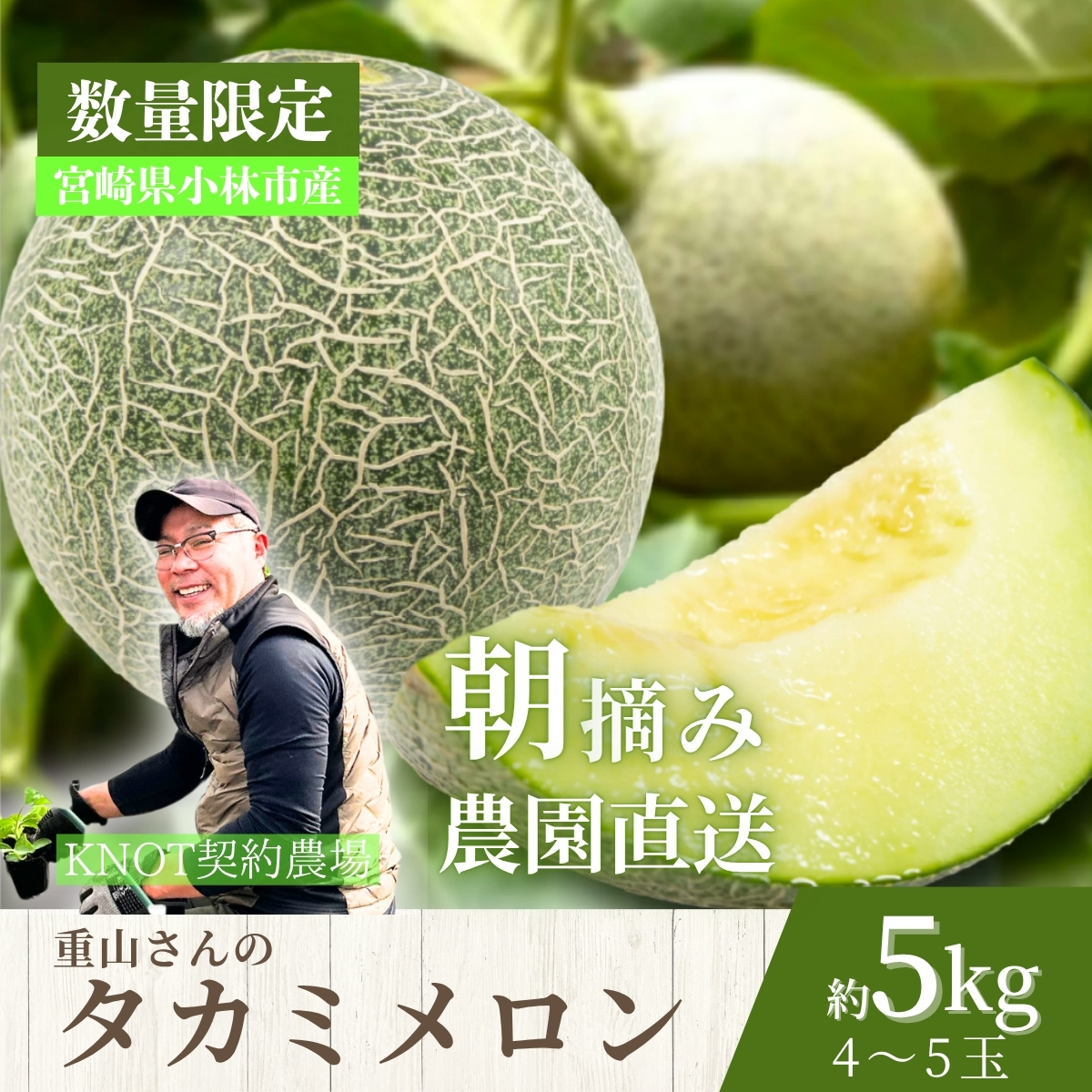 【2026年発送 先行予約】生産農家応援・もぎたて直送 タカミメロン 5kg程度（メロン フルーツ 果物 くだもの 先行受付 2026 宮崎）