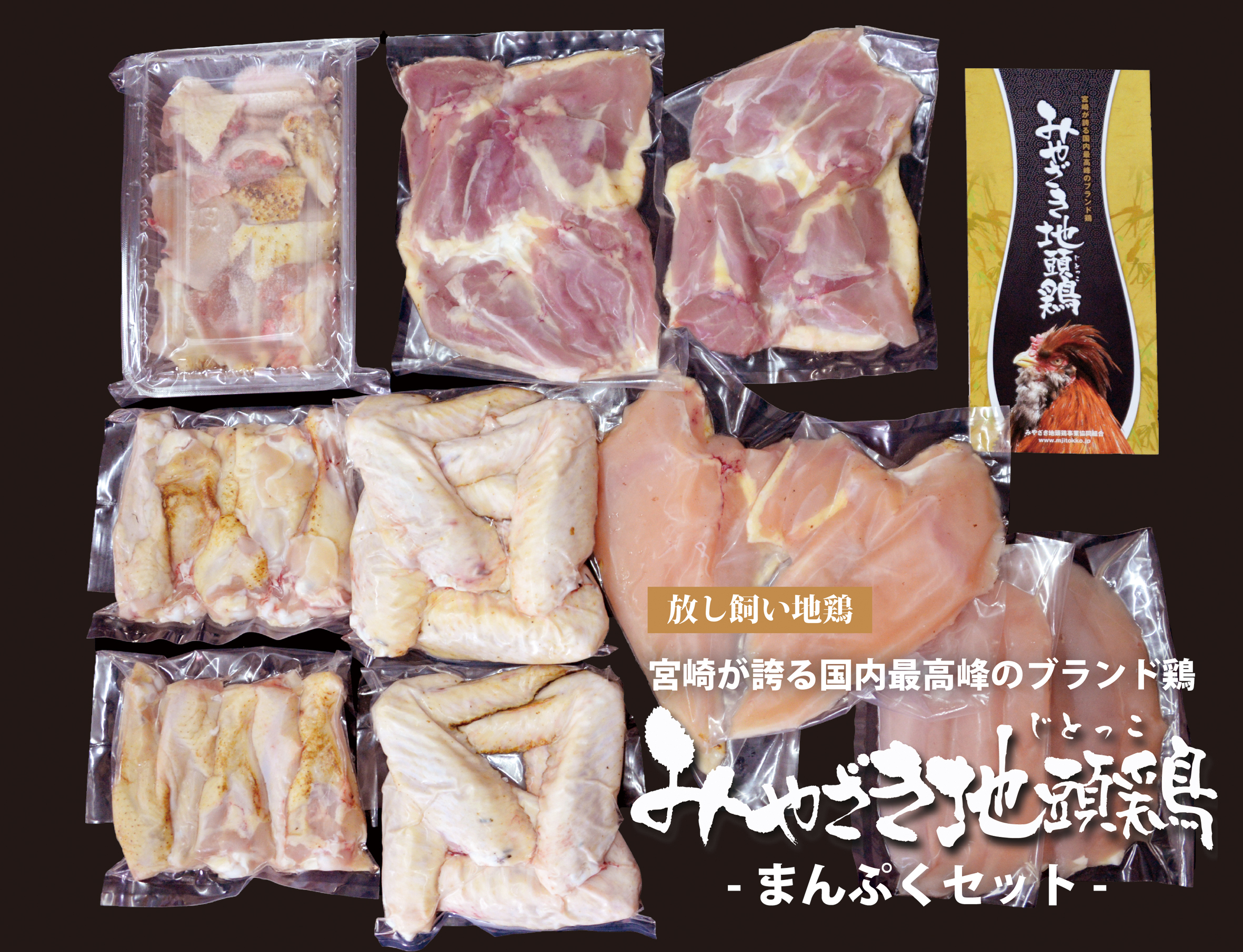 【宮崎ブランド地鶏】朝挽き”みやざき地頭鶏”まんぷくセット　約2.3kg（国産 鶏 鶏肉 地鶏 小分け モモ肉 もも肉 ムネ肉 むね肉 焼肉 鍋 唐揚げ 炭火焼 チキン南蛮 宮崎 小林市）