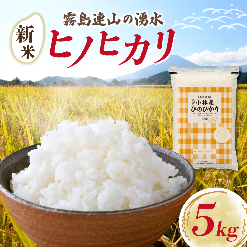 【令和7年産米】ヒノヒカリ 5kg（5kg×1袋 国産 米 ひのひかり お米 精米 令和7年産 数量限定 宮崎県小林市）