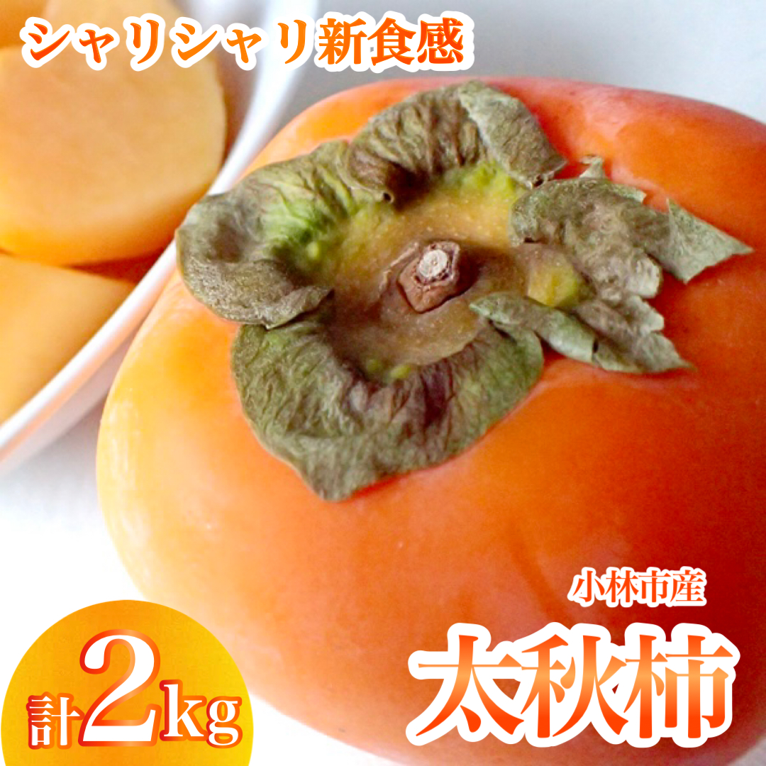 【産直もぎたて】太秋柿（2kg）