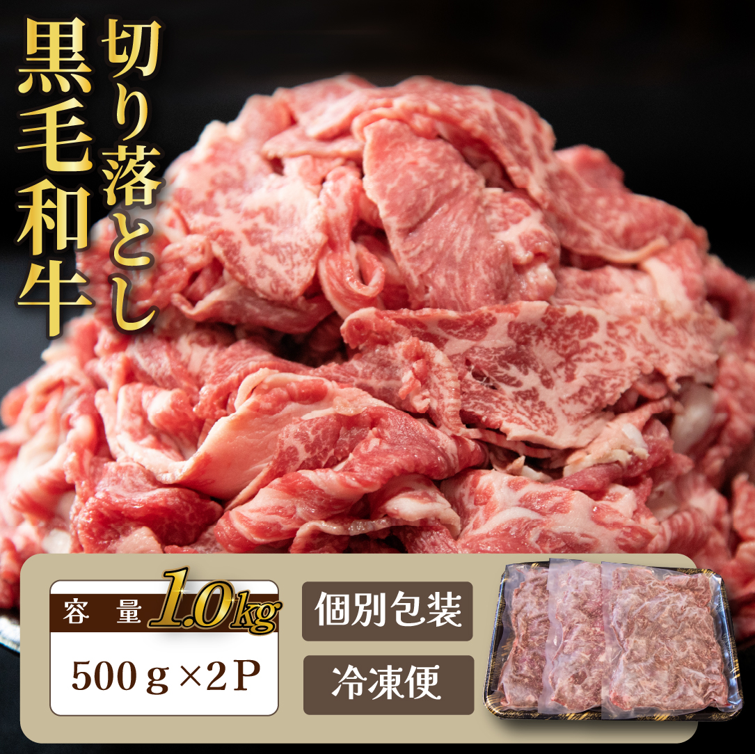 【人気精肉店からお届け】小林市産 黒毛和牛 切り落とし 1kg （牛肉 黒毛和牛 訳あり 切り落とし 小間切れ 赤身 小分け）