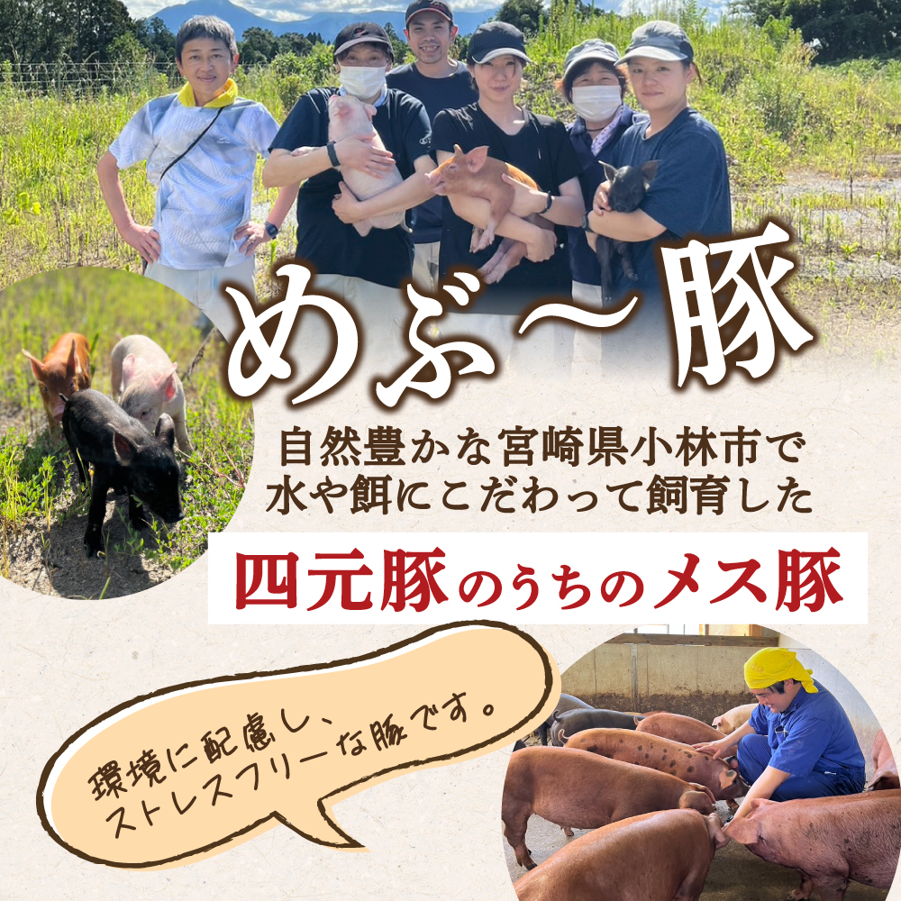 【地元ブランド豚】めぶ〜豚 豚バラしゃぶ 3.2kg 豚肉 豚 国産 しゃぶしゃぶ用 豚バラ 小分け 宮崎県 小林市