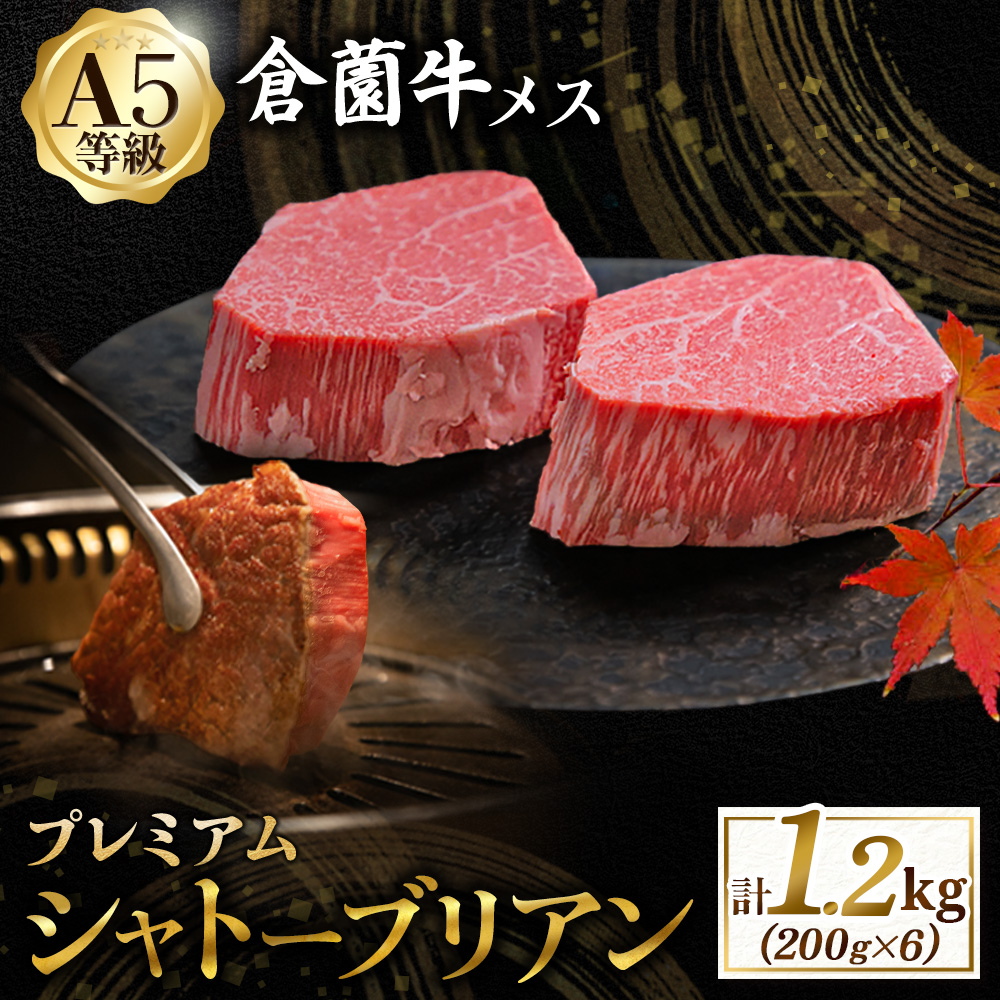 【プレミアムシリーズ】厳選宮崎牛メス指定 A5等級シャトーブリアン 1.2kg（国産 牛肉 国産牛 和牛 黒毛和牛宮崎牛 赤身 ヒレ シャトーブリアン ステーキ 焼肉）