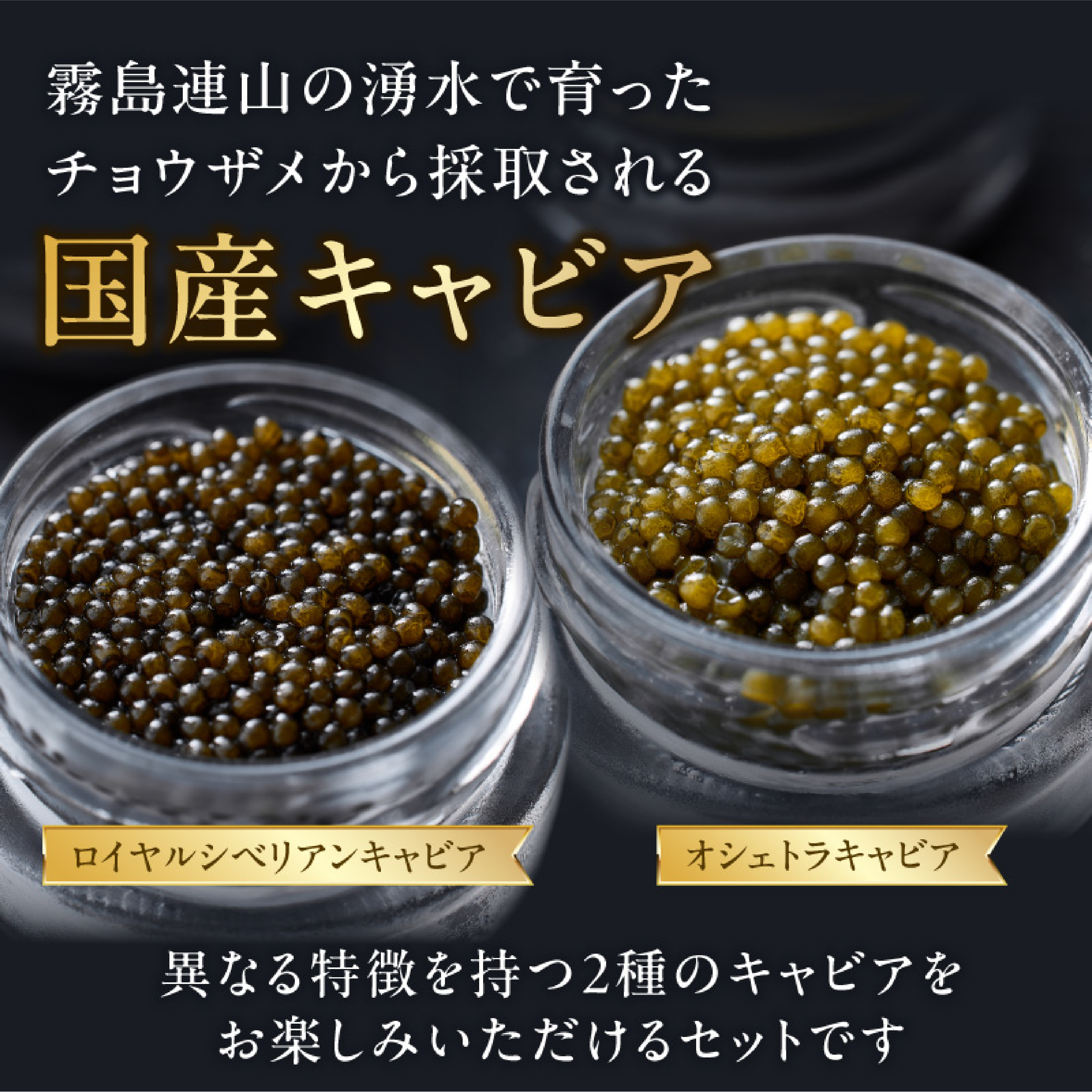 【純国産キャビア】皇帝の涙 2種食べ比べセット 40g（ロイヤルシベリアンキャビア・オシェトラキャビア） 国産 キャビア チョウザメ 宮崎 小林市 食べ比べ