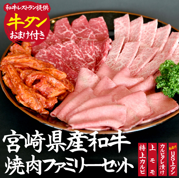 【BBQで大活躍！】宮崎県産和牛焼肉ファミリーセット 計800g（黒毛和牛 牛肉 お肉 タン モモ カルビ 焼肉 焼肉用）