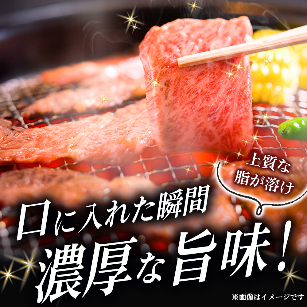 【A5等級】宮崎牛特選霜降り焼肉 （400g×1P） 宮崎牛 ブランド牛 和牛 牛肉 焼肉 特選和牛 霜降り A5 宮崎県 小林市