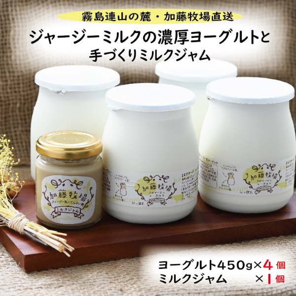 【霧島連山の麓・加藤牧場直送】ジャージーミルクの濃厚ヨーグルトと手作りミルクジャム（ヨーグルト ジャム ミルク 手作り 加工品）