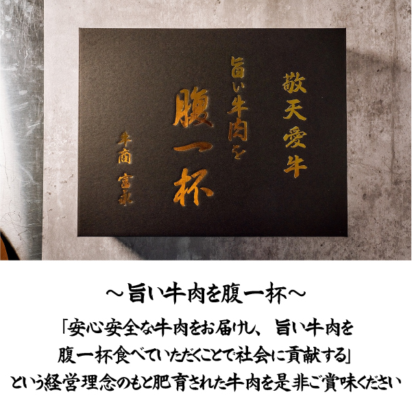 【自社牧場和牛】小林市産 黒毛和牛 赤身ステーキ 200g×3枚（牛肉 国産牛 黒毛和牛 和牛 赤身 ステーキ お肉 宮崎県）