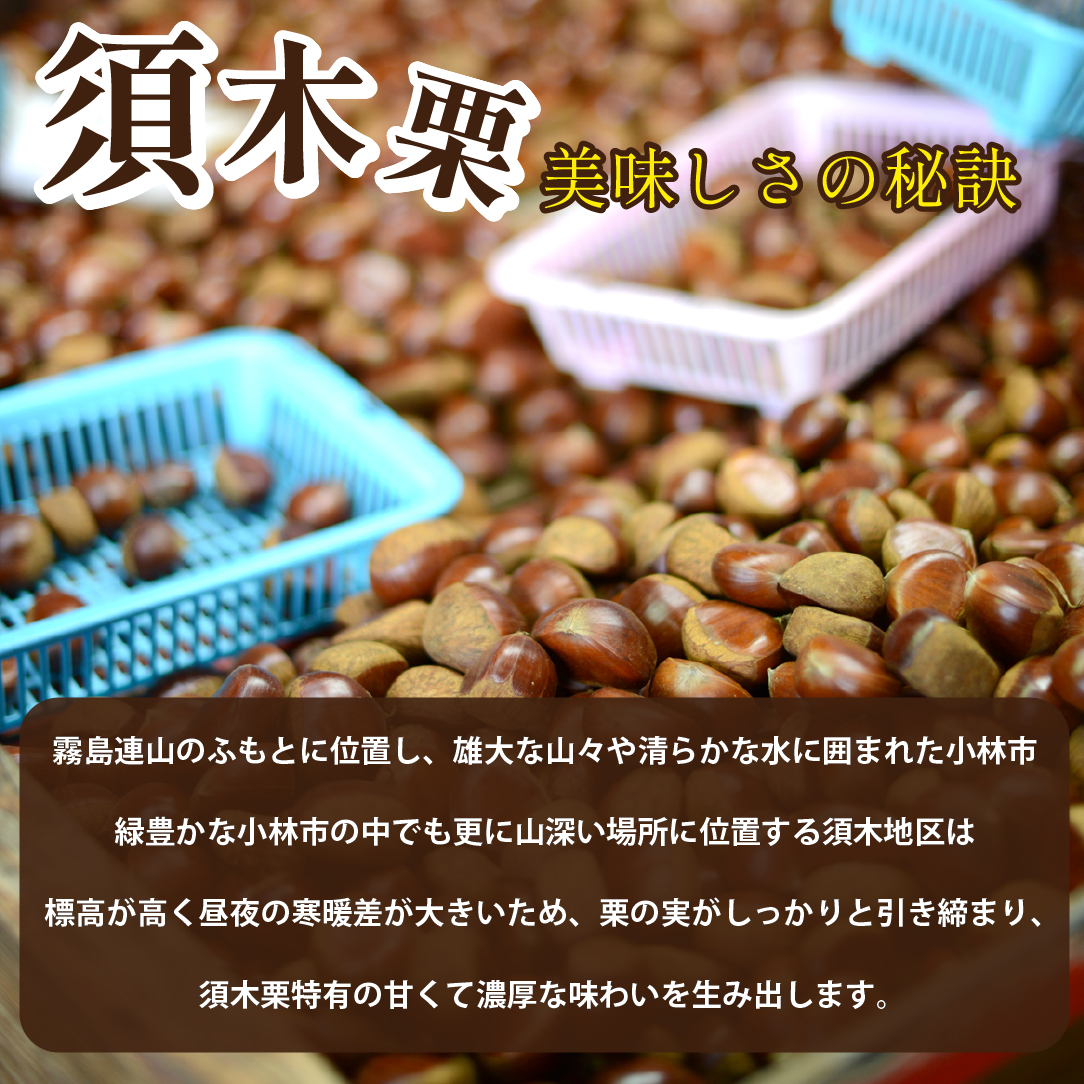 須木白むき栗（冷凍） 約1.0kg(須木栗 栗 白むき栗 むき栗 栗ごはん 栗おこわ 栗きんとん モンブラン 栗スイーツ 栗菓子)