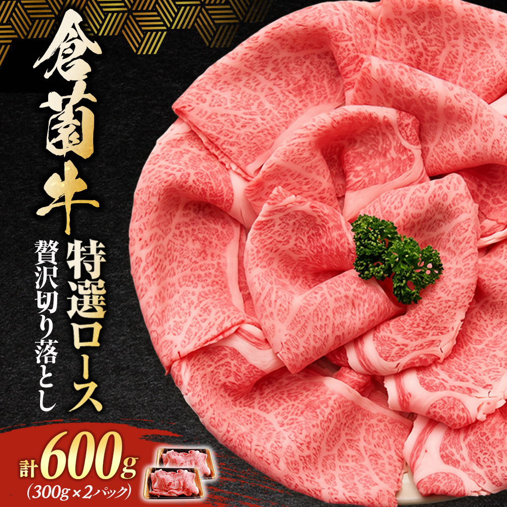 倉薗牛特選ロース贅沢切り落とし 600g (倉薗牛 宮崎牛 黒毛和牛 和牛 牛肉 国産牛 ブランド牛 特選ロース ロース肉 牛ロース 牛肉切り落とし)