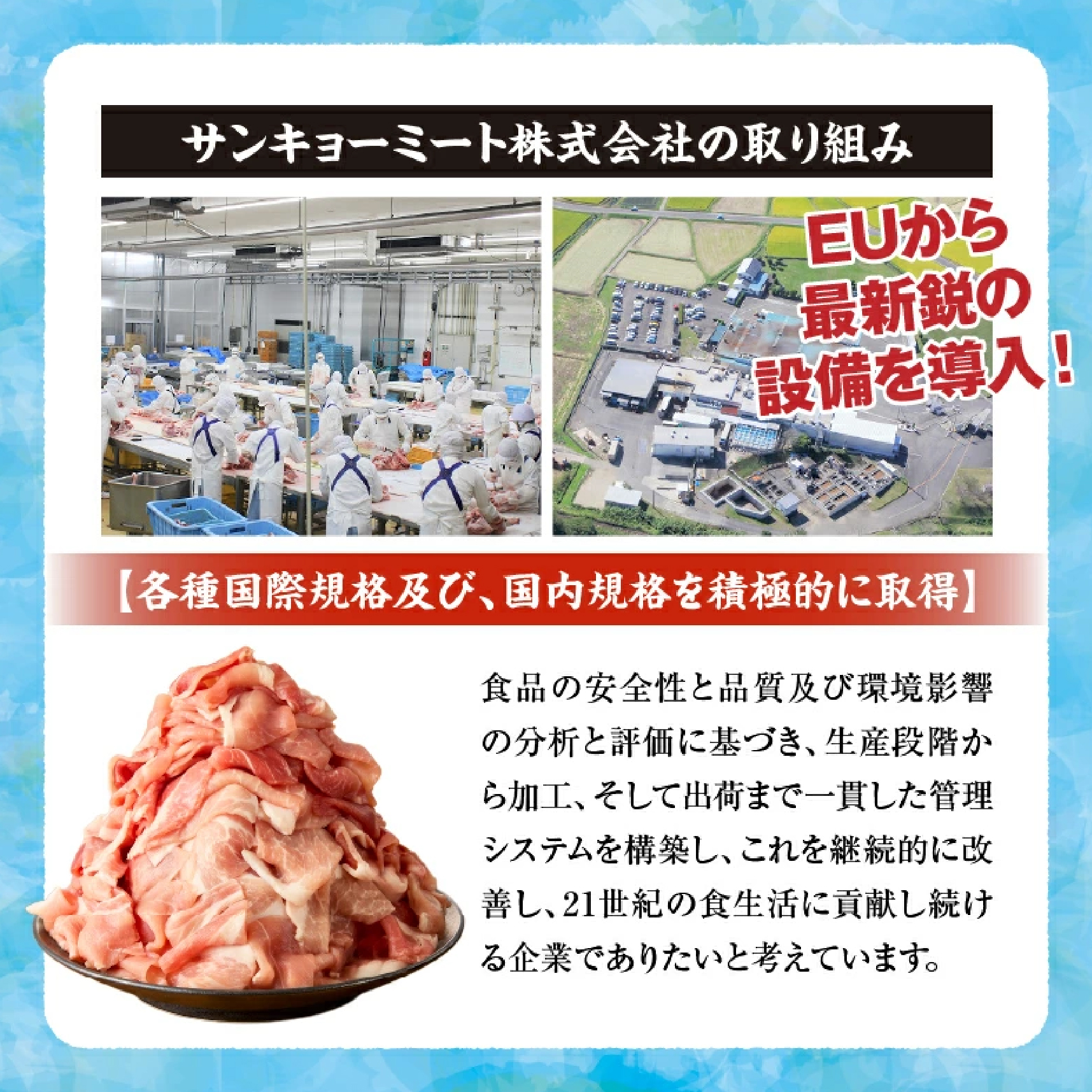 【定期便 全6回】主婦の味方定期便（豚肉 豚 豚バラ バラ しゃぶしゃぶ 豚しゃぶ 焼肉 定期便 大容量 簡単調理 小分け）