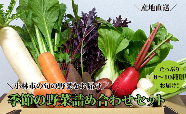 【自然が育む新鮮野菜】こばやし季節の野菜詰め合わせセット（野菜 詰め合わせ 産地直送 宮崎県 小林市）