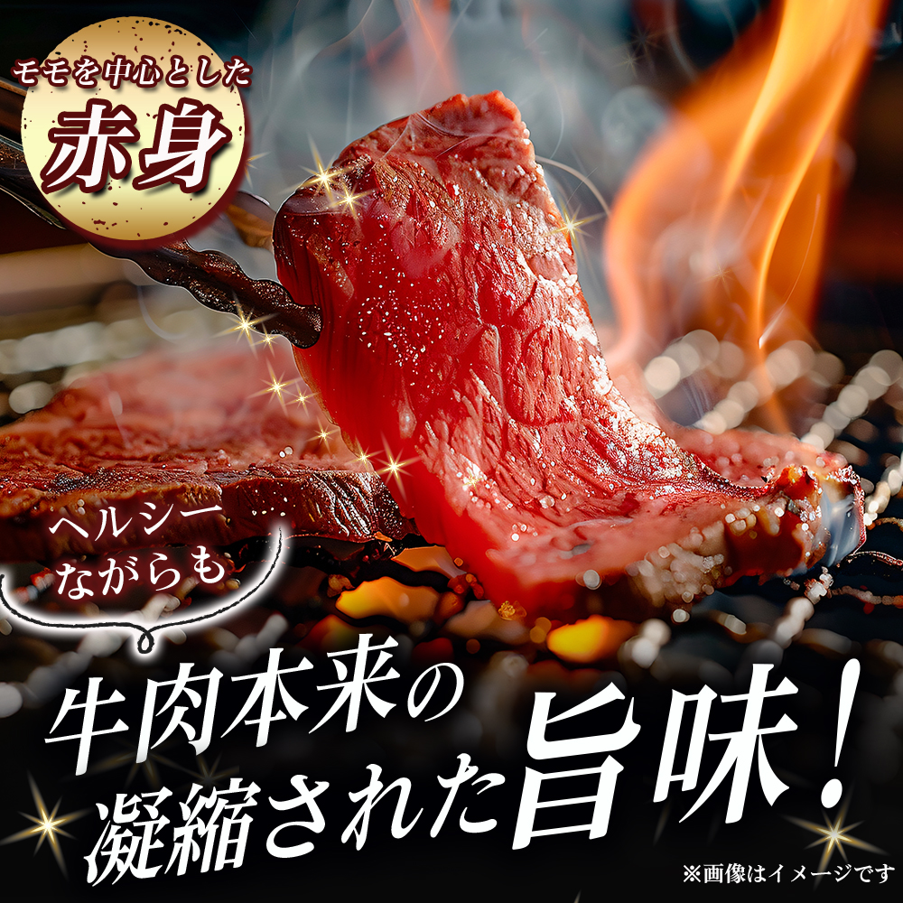 【A5等級】宮崎牛特選赤身焼肉 400g  宮崎牛 ブランド牛 和牛 牛肉 焼肉 特選和牛 赤身 A5 宮崎県 小林市