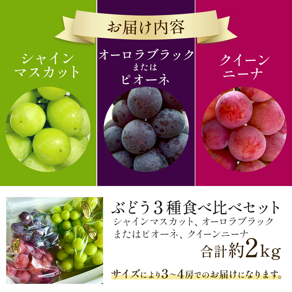 【2026年発送 先行予約】旬のぶどう３種食べ比べ アソート 計2kg程度（ シャインマスカット オーロラブラック・ピオーネ クイーンニーナ ） ぶどう ブドウ シャインマスカット シャイン マスカット フルーツ 果物 ぶどう食べ比べ 宮崎県小林市