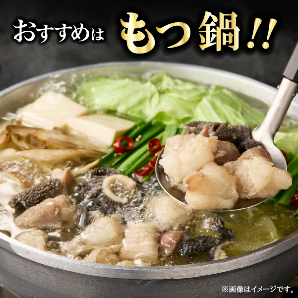 宮崎県産ミックスホルモン 500g×3P 計1.5kg（牛肉 肉 ホルモン 黒毛和牛 もつ鍋 焼肉 鍋）