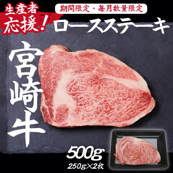 【生産者応援！】宮崎牛ロースステーキ500g（250g×2枚 宮崎牛 和牛  国産 牛肉  霜降り ステーキ ロース 冷凍 送料無料）