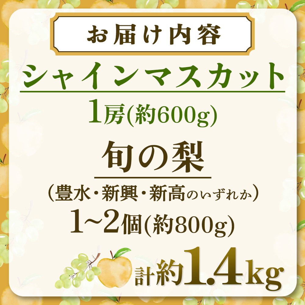 【期間限定】旬の梨とシャインマスカット 食べ比べセット 約1.4kg（シャインマスカット 梨 フルーツ 果物 詰合せ 豊水 新興 新高）