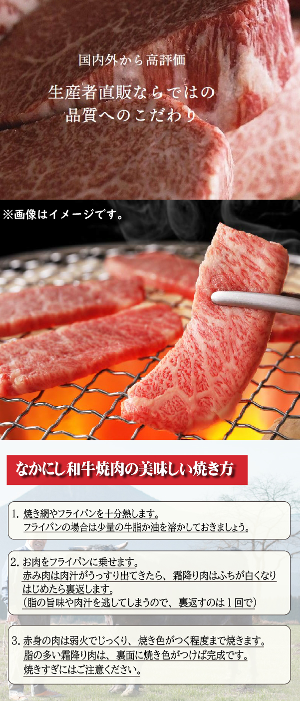 【生産者直送】なかにし和牛霜降り焼肉-特上-（産地直送 小林市産 国産 牛肉 和牛 霜降り 焼肉 送料無料）