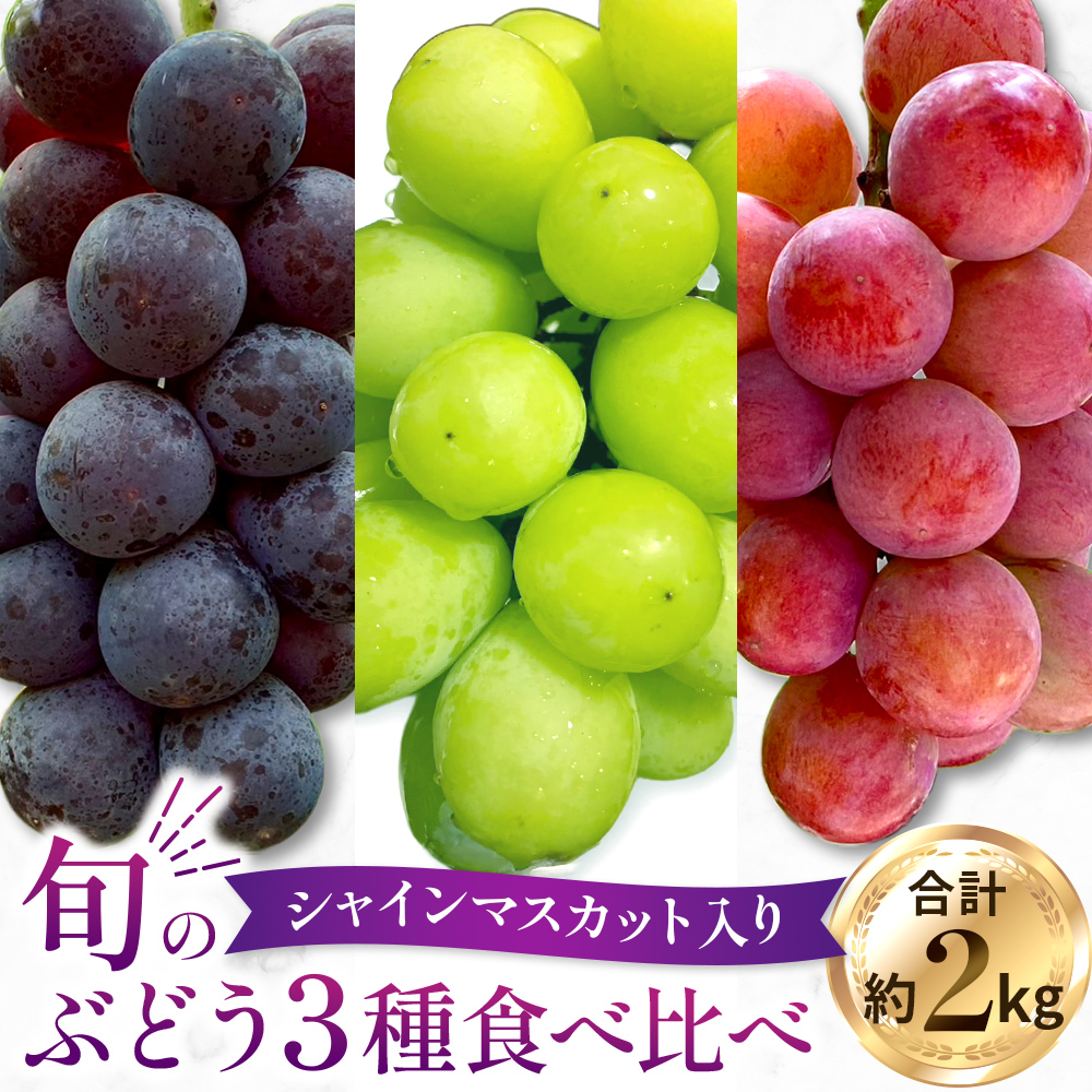【2026年発送 先行予約】旬のぶどう３種食べ比べ アソート 計2kg程度（ シャインマスカット オーロラブラック・ピオーネ クイーンニーナ ） ぶどう ブドウ シャインマスカット シャイン マスカット フルーツ 果物 ぶどう食べ比べ 宮崎県小林市