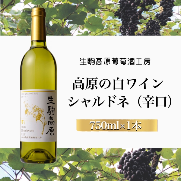 【高原の白ワイン】シャルドネ（辛口） 国産 宮崎 ワイン お酒 酒 アルコール ブドウ ぶどう 白ワイン