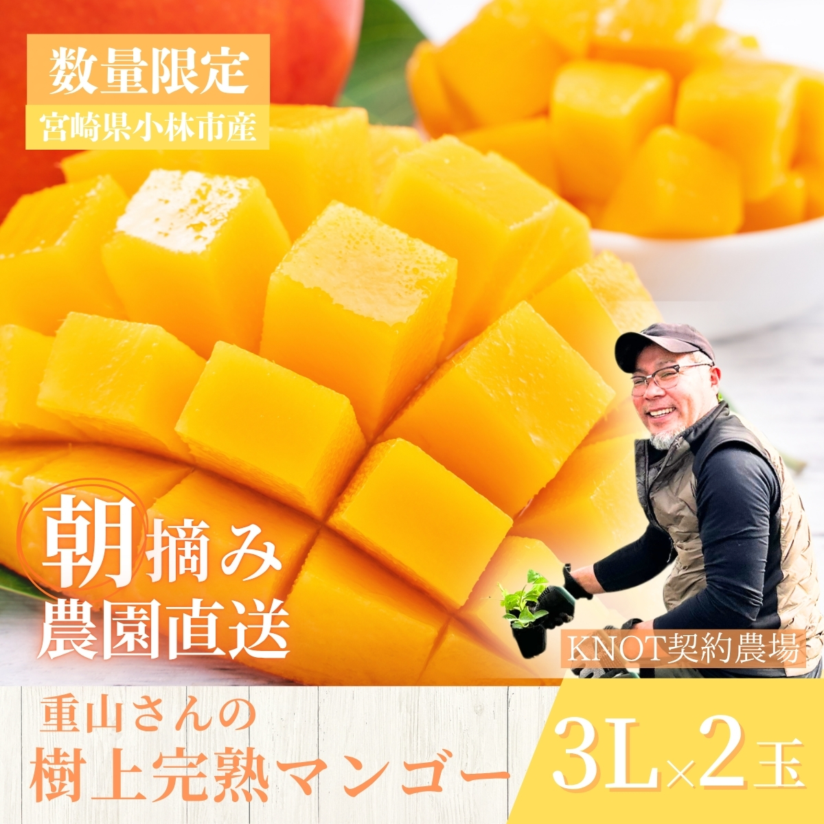 【2026年発送 先行予約】生産農家応援・濃厚果肉 みやざき完熟マンゴー 3L×2玉（マンゴー フルーツ アップルマンゴー 果物 くだもの 2026 先行受付 宮崎）
